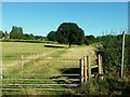 Footpath to Three Ashes Lane