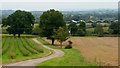 View from Stallion Hill