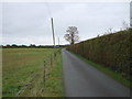 Track (bridleway) towards Ash Farm