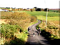 Farmers with dog. Lisnafin