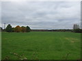 Grassland west of Smith Lane