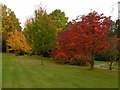Autumn in the grounds of Burrswood Hospital