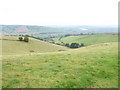 Field above the Exe Valley at Upcott