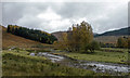 West Highland Way near Auch