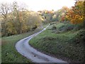 Road crossing Besbury Common