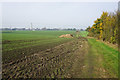 Path towards Bates Farm