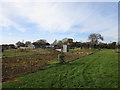 Allotments at Juniper Hill