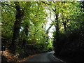 The A373 near Hembury