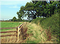 Fencing within field west of Blacksmith End eastwards