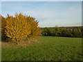 View from Whitings Hill