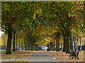 Path at the Aylestone Recreation Ground