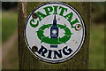 Capital Ring Logo