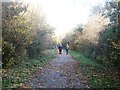 Path and Former Railway Line near Springwell Lane Bridge