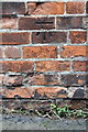 Benchmark on wall of Nursery Path