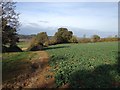 Track to Lower Brailes