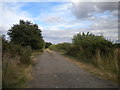 Farm track north of Tollerton