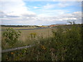 Taxiway, Nottingham Airport