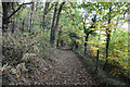 West Devon : Footpath