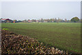 Wigshaw across the fields