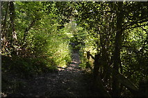 TQ3326 : High Weald Landscape Trail, Flat Wood by N Chadwick