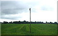 Crop field near Saxham Business Park