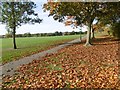 Barnet Playing Fields