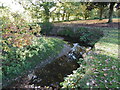 The Dollis Brook at Barnet Playing Fields