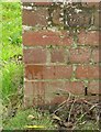 Bench mark, Branston Road, Eaton