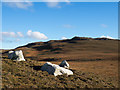 NR2841 : Three white rocks on heather by Trevor Littlewood