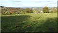 View from above Woodchester