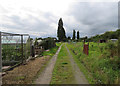 Track through allotments towards Brook House Drive