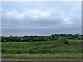 Wet land west of the A3 at Milford