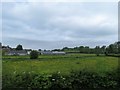 Farm house and outbuildings south-west of Milford village