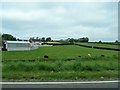 Drumlin-side dairy farm north-east of Middletown