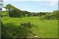 Field near Kitsham