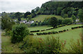 Farmland west of Glyndyfrdwy in Denbighshire