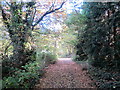 Footpath Near Lower Gambolds Cottage Finstall