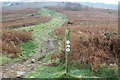 ST2289 : Sirhowy Valley Walk, southwest slope of Mynydd Machen by M J Roscoe