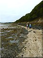NT2586 : Shoreline footpath by James Allan