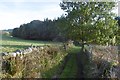 Old road, Kincairney