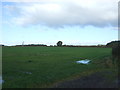 Grassland off Cherry Tree  Lane