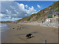 On the beach at Tregonhawke