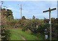 Path to the Ashby Canal towpath