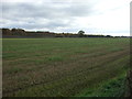 Farmland off Manchester Road (A50)