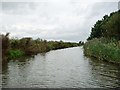 SJ5976 : Trent & Mersey Canal, between bridges 210 and 211 by Christine Johnstone