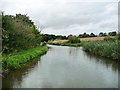 Trent & Mersey Canal north-west of bridge 211