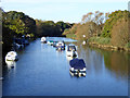 River Stour above Tuckton Bridge