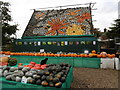 Cat guarding the 2016 Slindon Pumpkin Festival