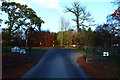 The Avenue, Dumfries House Estate