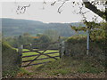 Field gate in Lynher Way